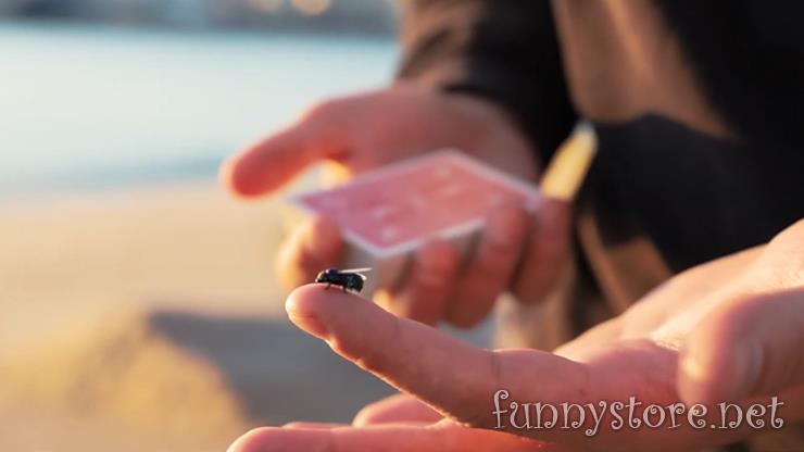 (image for) Marcos Waldemar & Invisible Compass - The FLY LITE