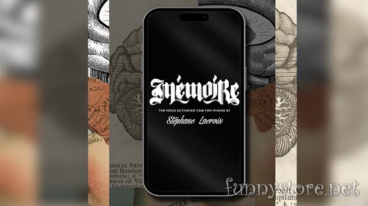 (image for) Stephane Lacroix - Memoire (Video+PDF)