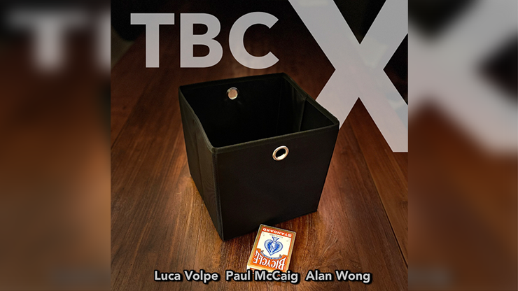 (image for) Luca Volpe and Alan Wong - TBC X