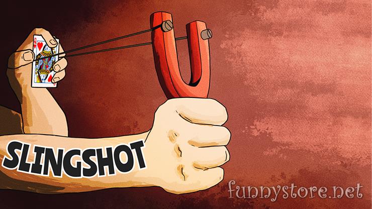 (image for) Joel Anthony - The Slingshot