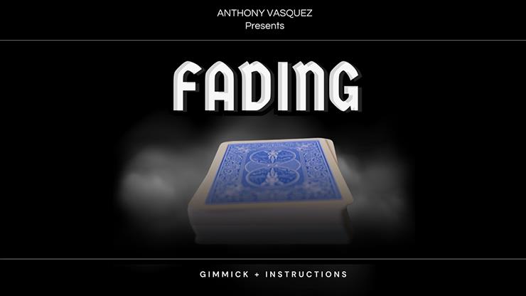 (image for) Anthony Vasquez - Fading