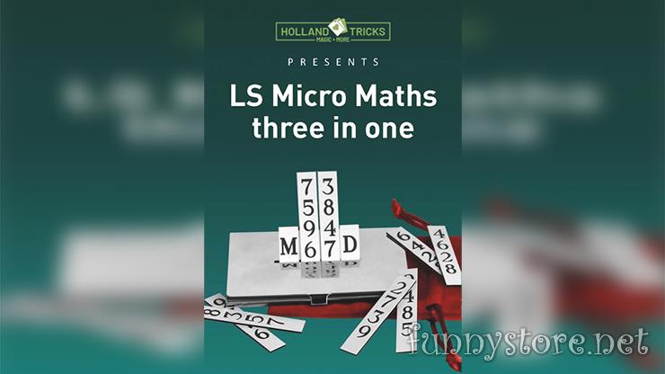 (image for) Leo Smetsers - Micro Maths