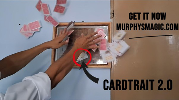 (image for) Guillermo Dech - Cardtrait 2.0 (Stage Version)