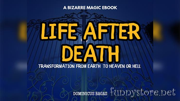 (image for) Dominicus Bagas - Life After Death