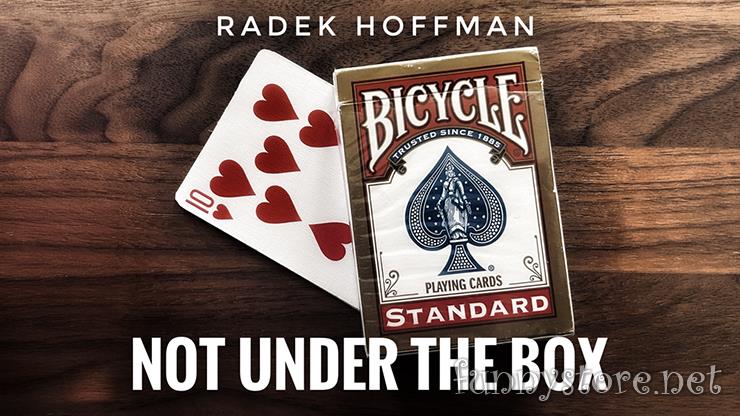 (image for) Radek Hoffman - Not Under the Box