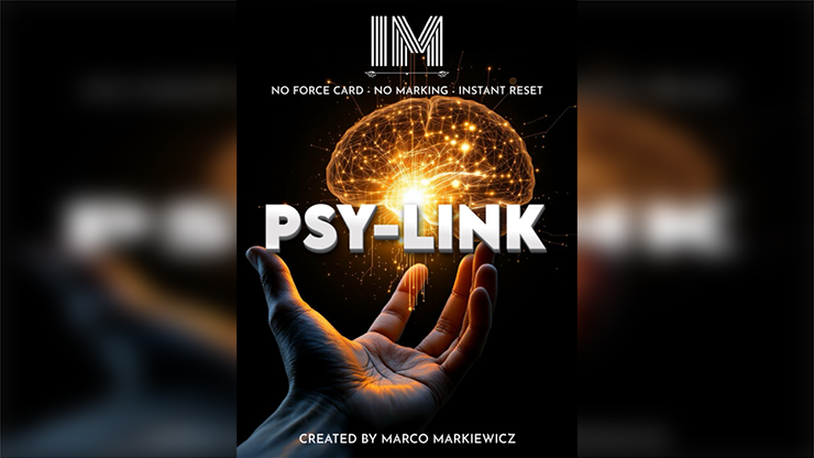 (image for) Marco Markiewicz - PSY-LINK
