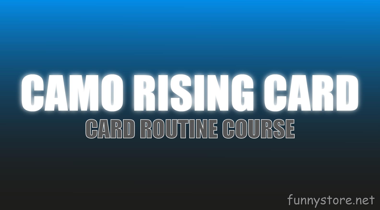 (image for) DAVE LOOSLEY - CAMO RISING CARD (Netrix)