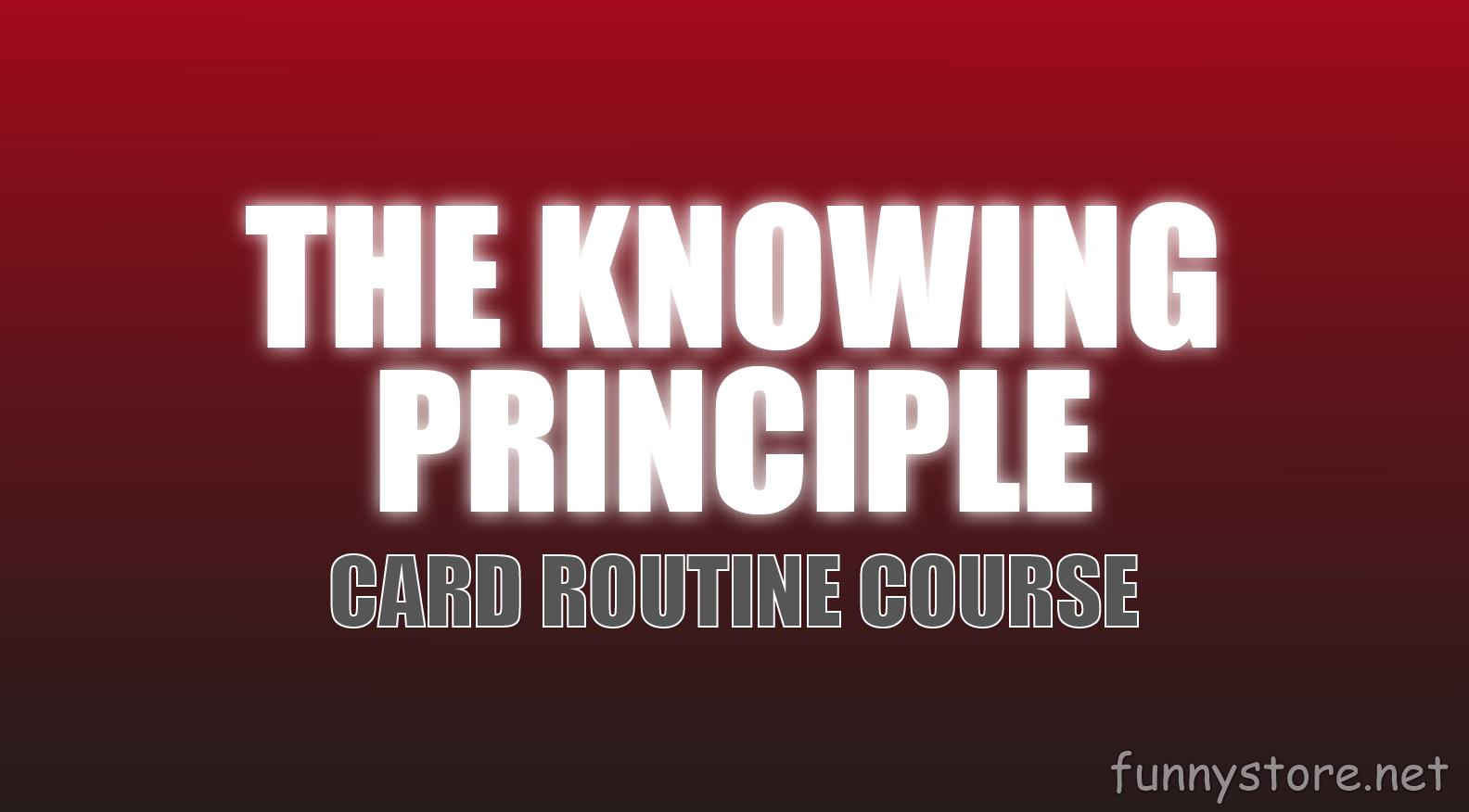 (image for) Christian Grace - The Knowing Principle (Netrix)