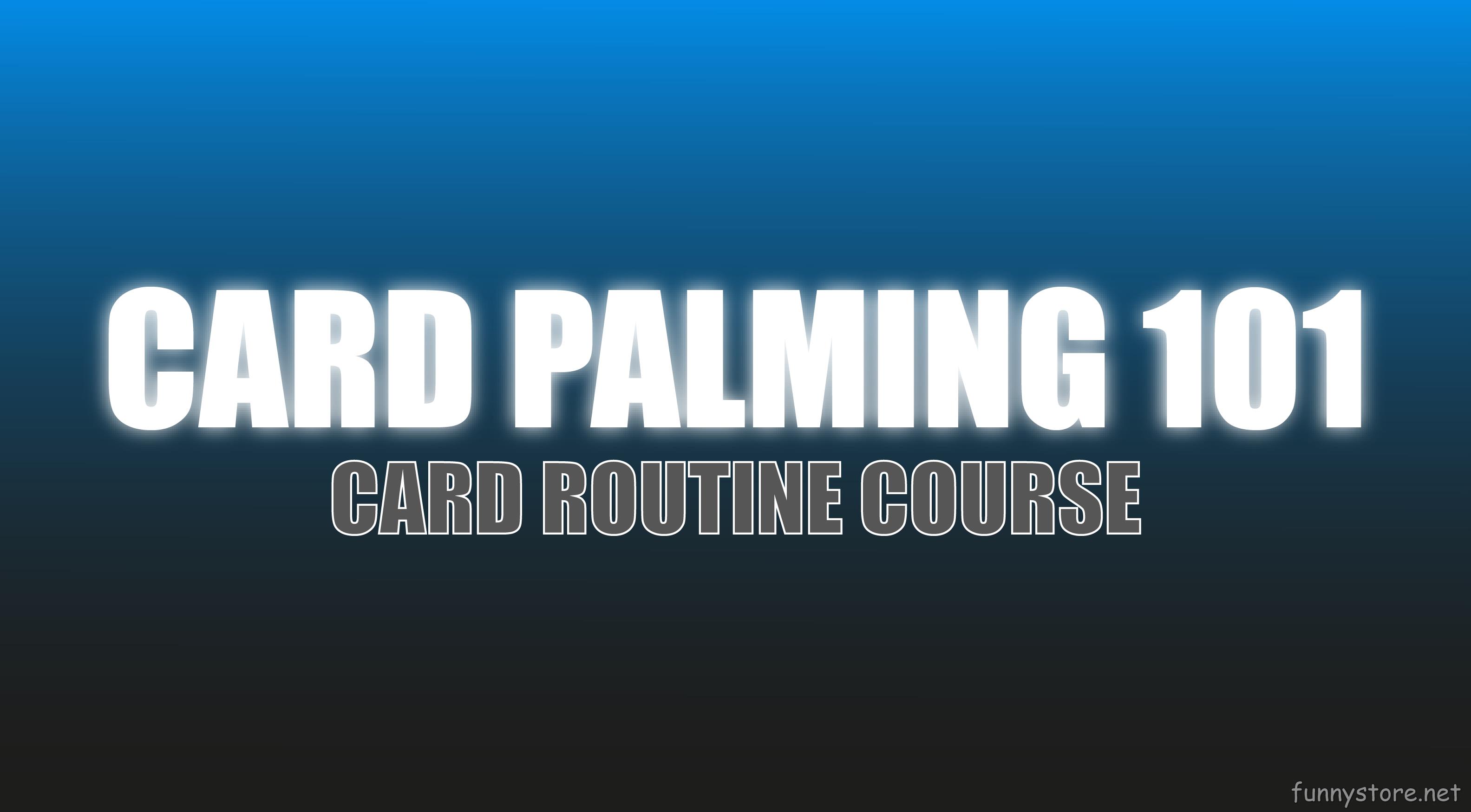 (image for) Craig Petty - Card Palming 101 (Netrix)