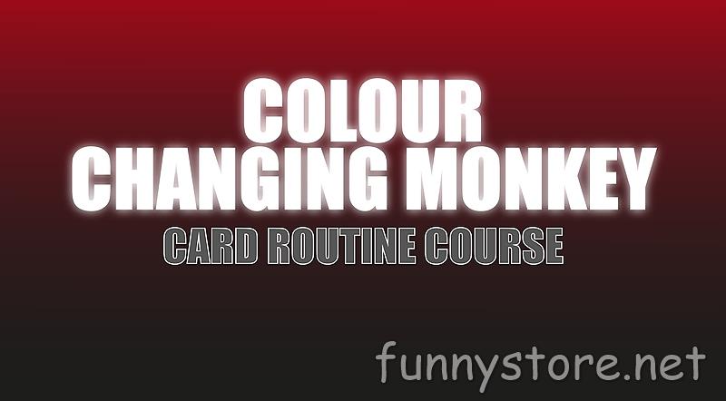 (image for) Craig Petty - Colour Changing Monkey (Netrix)