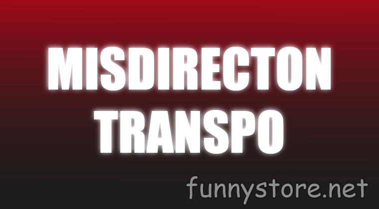 (image for) Craig Petty - Misdirection Transpo (Netrix)