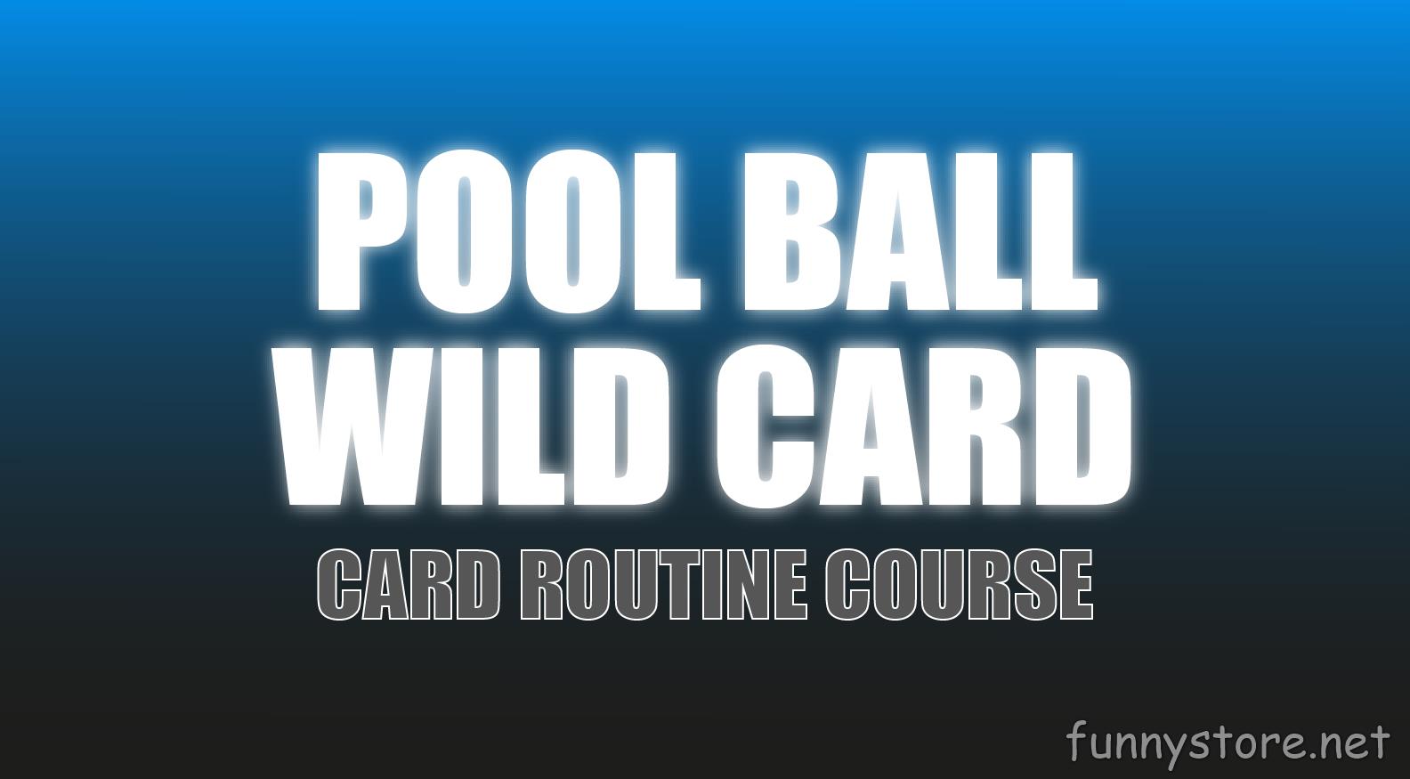 (image for) Craig Petty - Pool Ball Wild Card (Netrix)