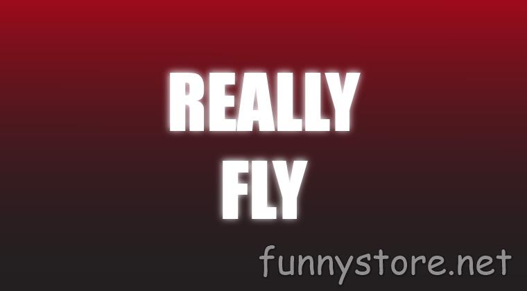 (image for) Craig Petty - Really Fly (Netrix)