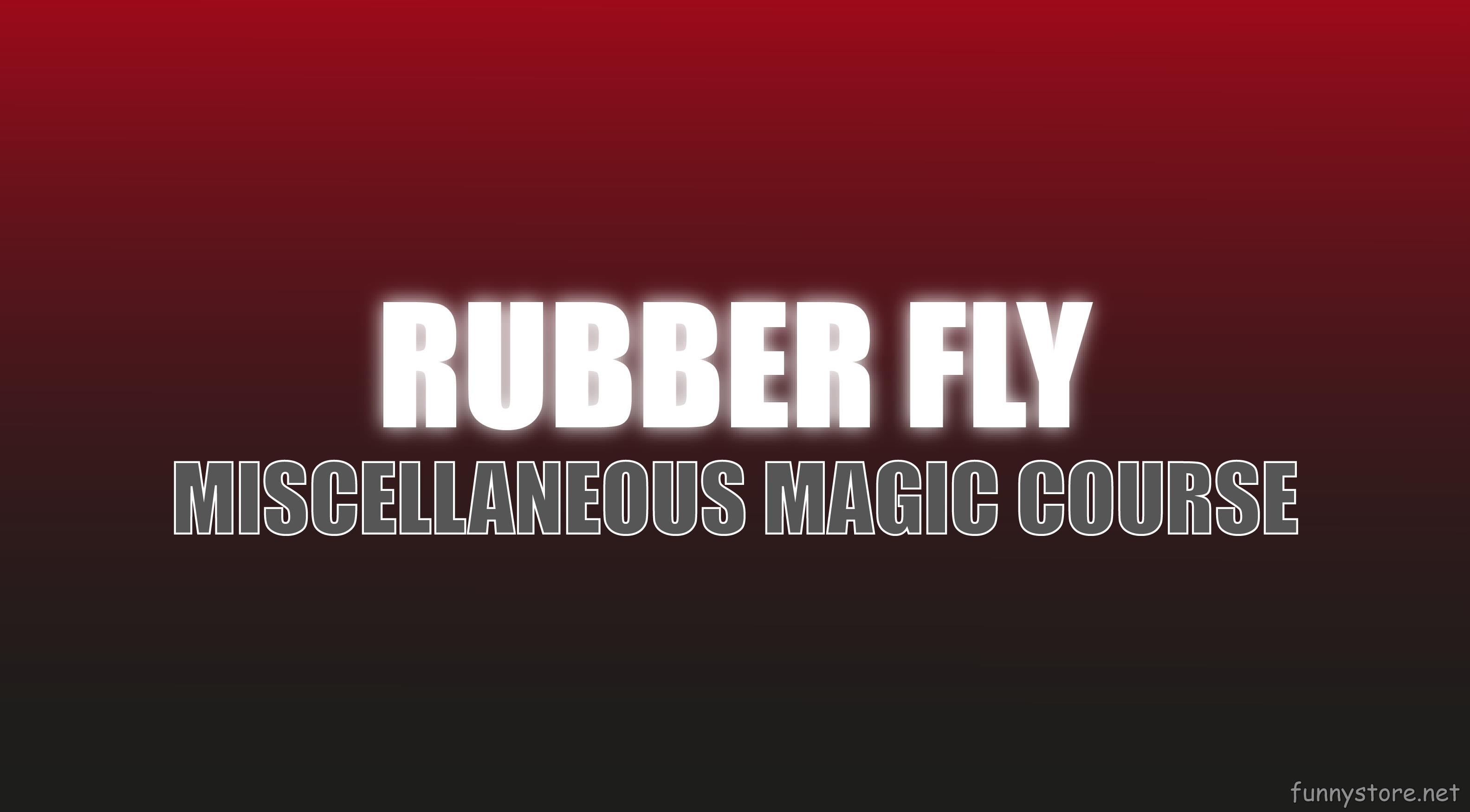 (image for) Craig Petty - Rubber Fly (Netrix)