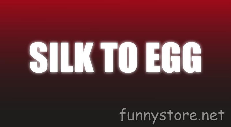 (image for) Craig Petty - Silk To Egg (Netrix)