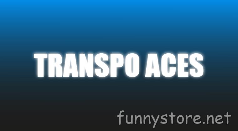 (image for) Craig Petty - Transpo Aces (Netrix)