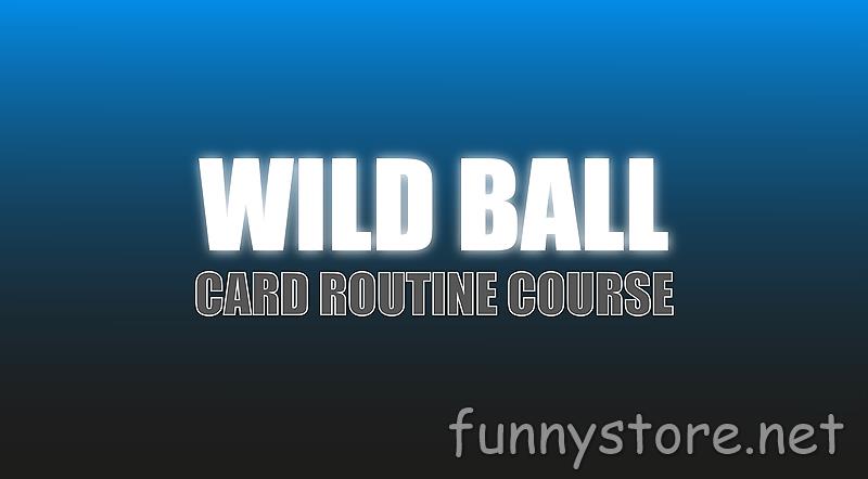 (image for) Craig Petty - Wild Ball (Netrix)