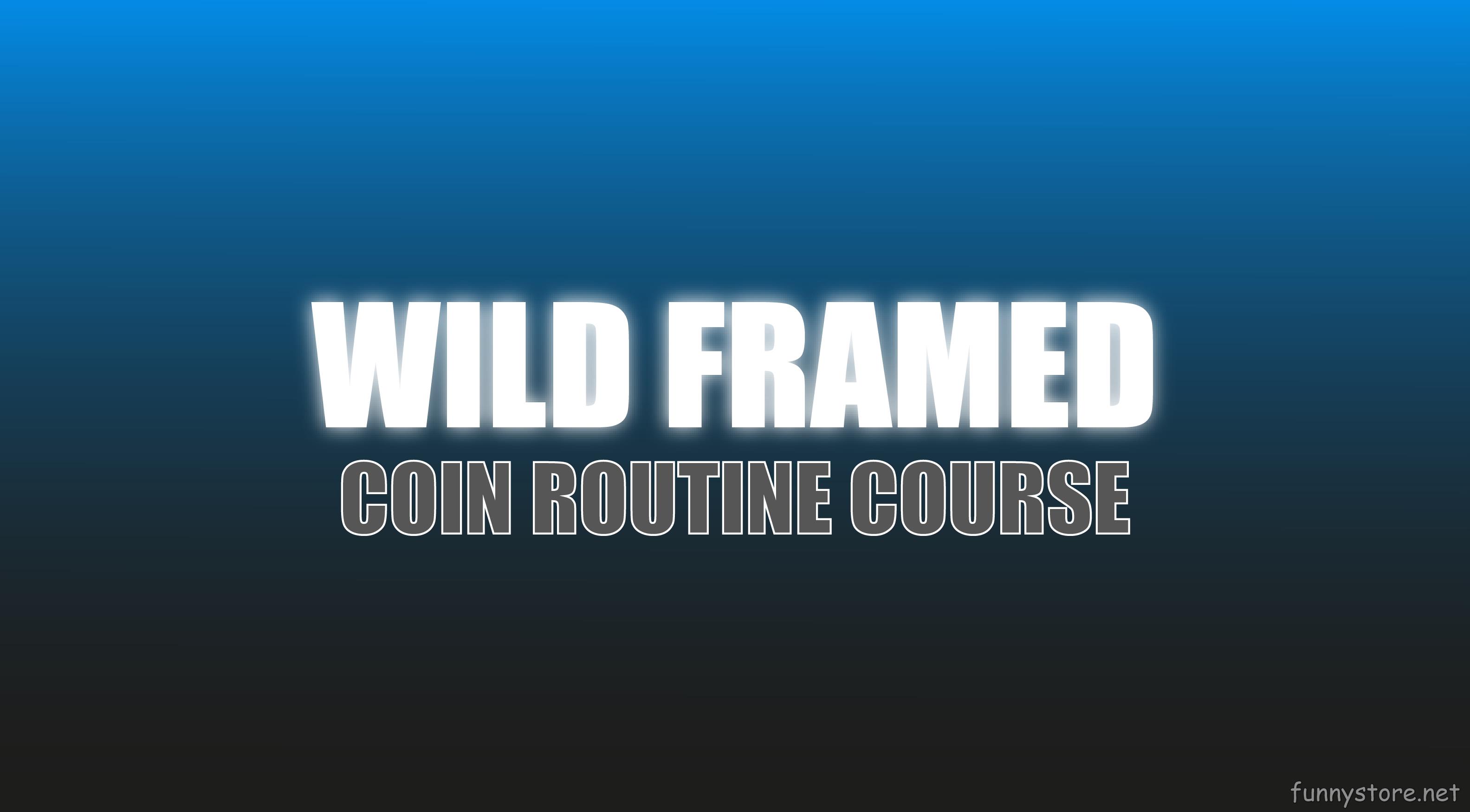 (image for) Craig Petty - Wild Framed (Netrix)