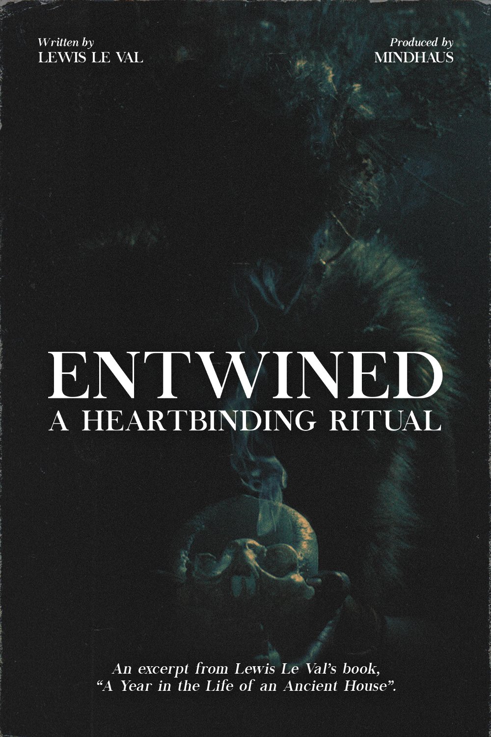 (image for) Lewis Le Val - Entwined