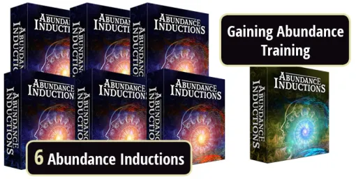 (image for) Igor Ledochowski - Abundance Inductions (Audios)