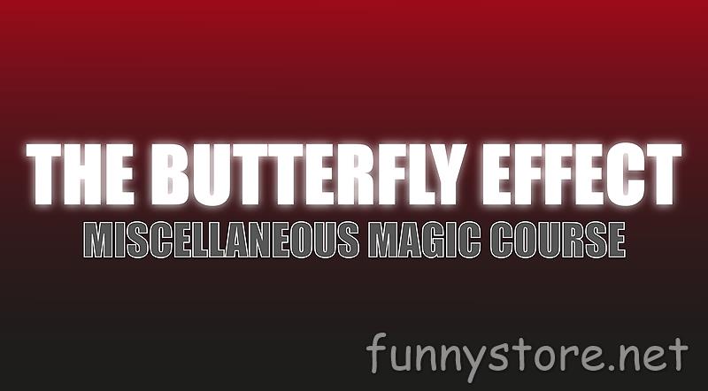 (image for) Justin Miller - The Butterfly Effect (Netrix)
