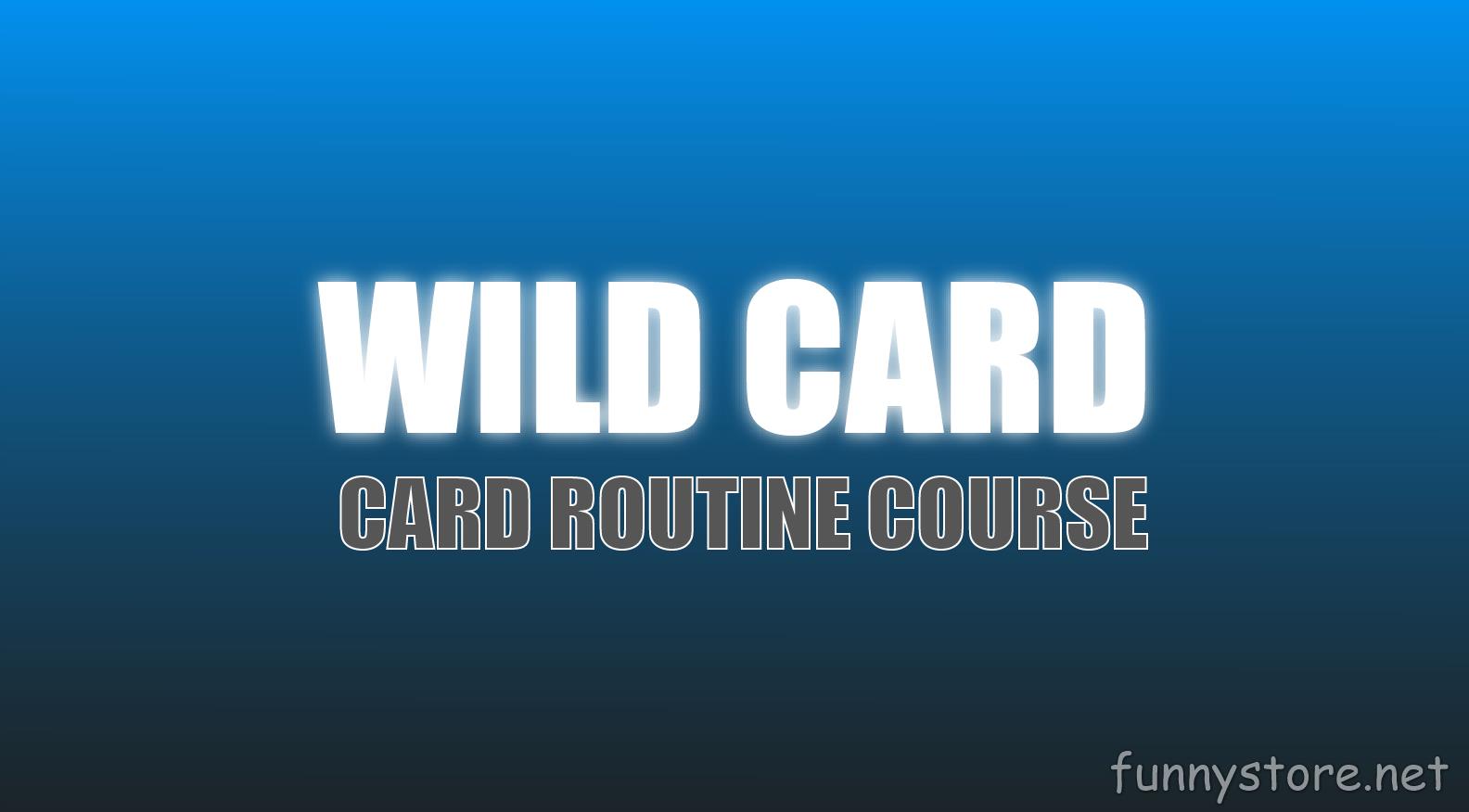 (image for) Justin Miller - Wild Card (Netrix)