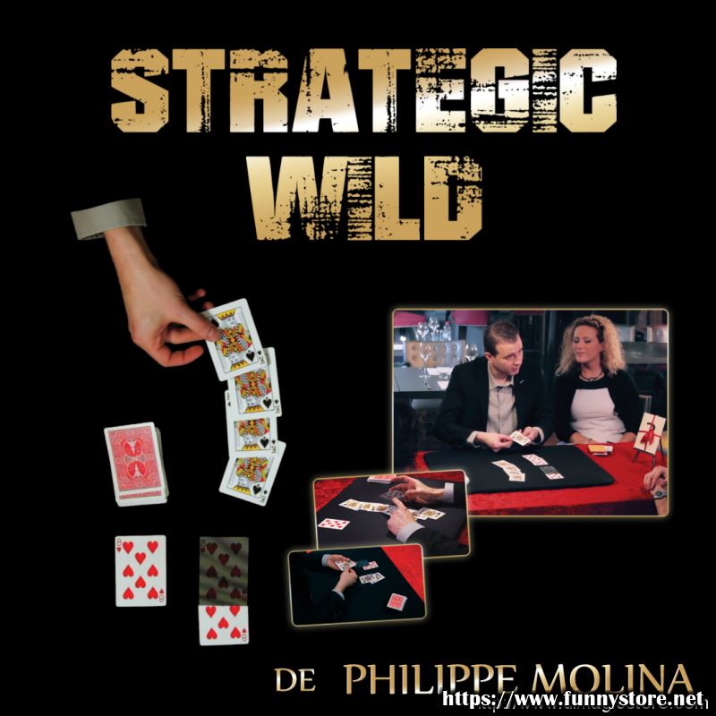 Philippe Molina - Strategic Wild