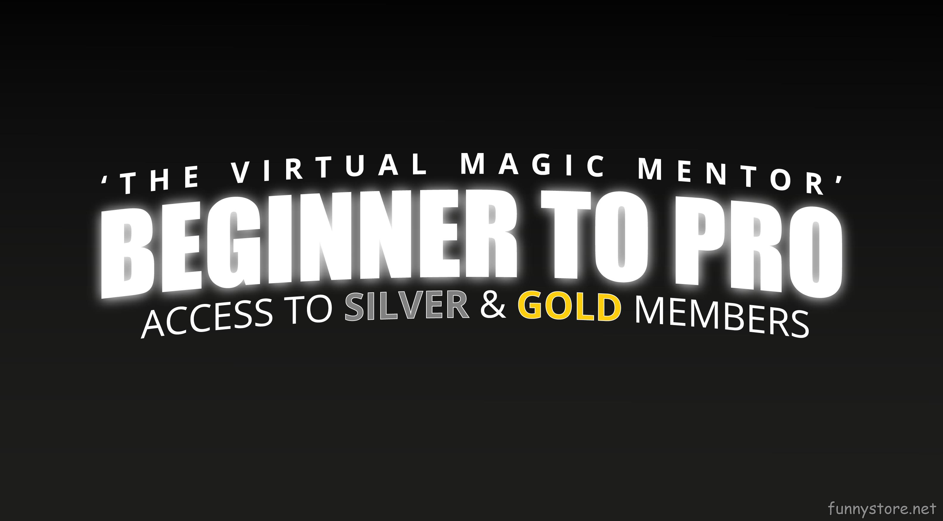 (image for) Craig Petty - The Virtual Magic Mentor (Netrix)