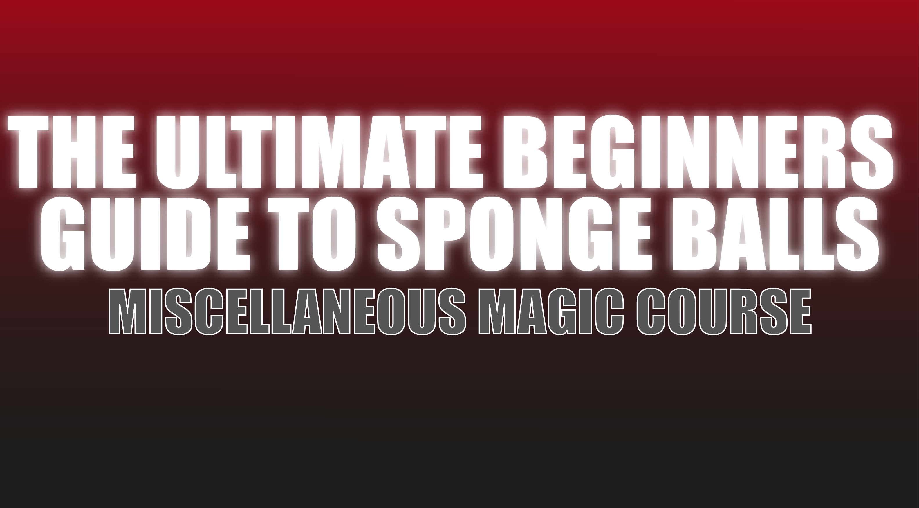 (image for) Wayne Goodman - The Ultimate Beginners Guide To Sponge Balls (Netrix)