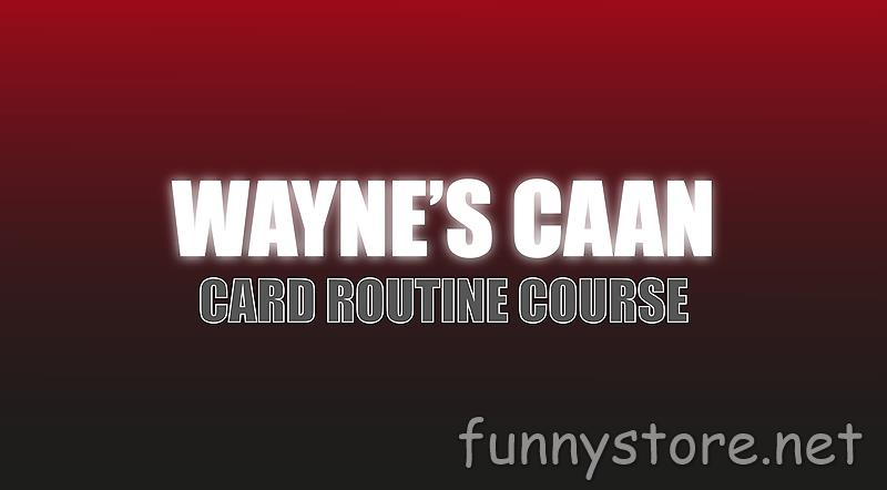 (image for) Wayne Goodman - Wayne's CAAN (Netrix)