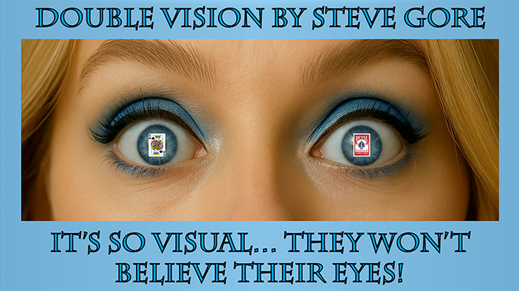 (image for) Steve Gore - Double Vision