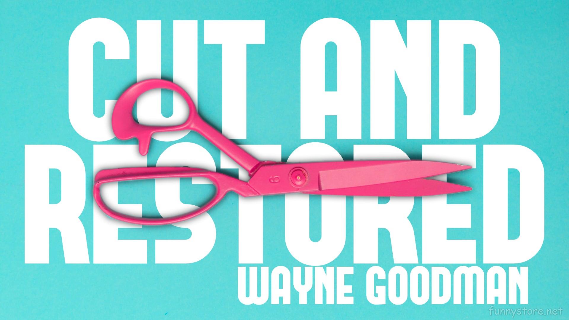 (image for) Wayne Goodman - Cut And Restored Rope