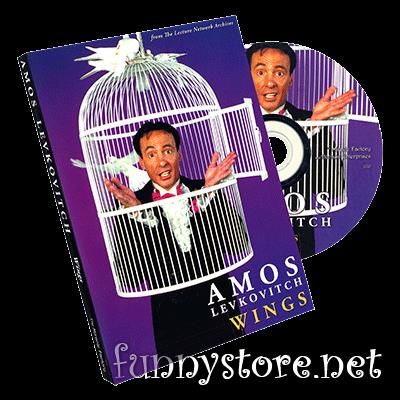 (image for) Amos Levkovitch & The Miracle Factory - Wings