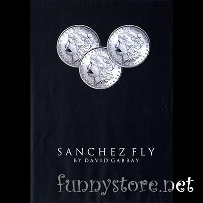 (image for) David Gabbay - Sanchez Fly