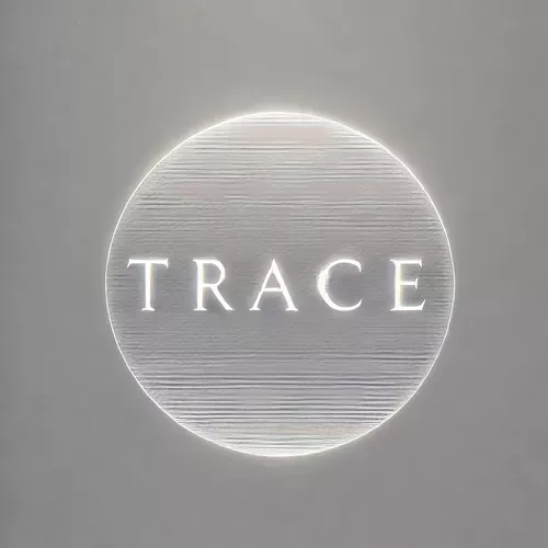 (image for) The Daily Magician - Trace - The Ultimate 'Untraceable' Every Day Carry