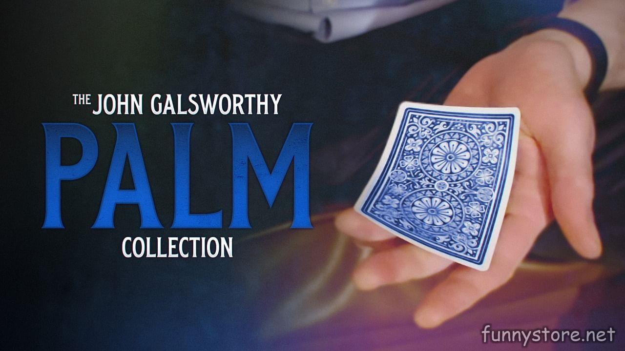 (image for) John Galsworthy - The Galsworthy Palm Collection