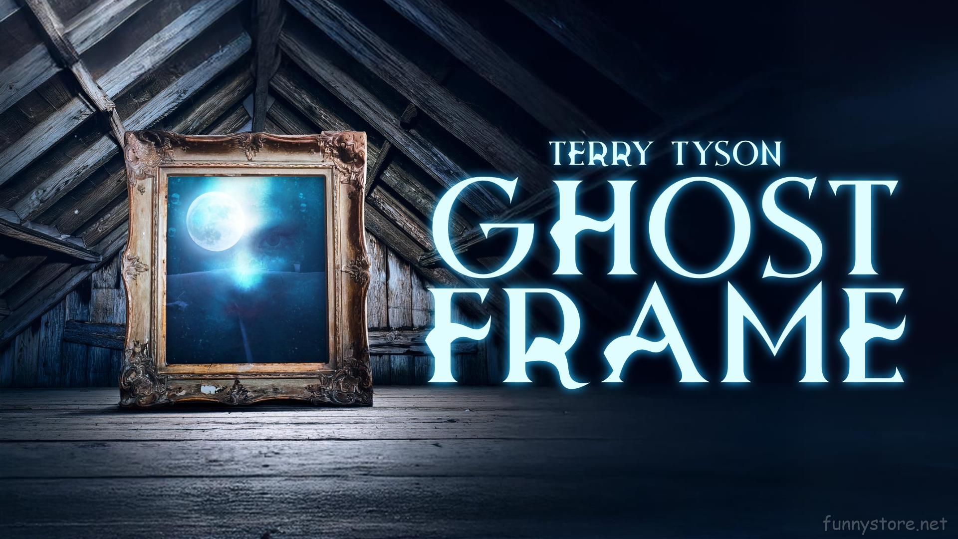 (image for) Terry Tyson - Ghost Frame