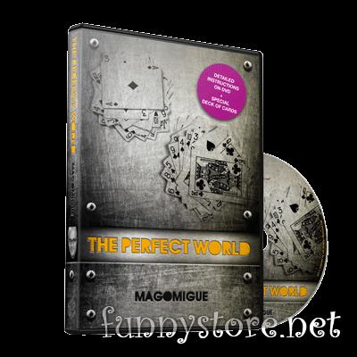 (image for) Mago Migue and Luis De Matos - The Perfect World