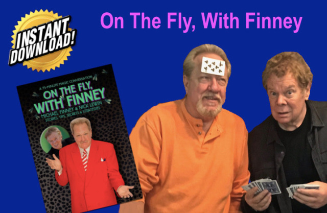 (image for) Michael Finney & Nick Lewin - On The Fly With Finney