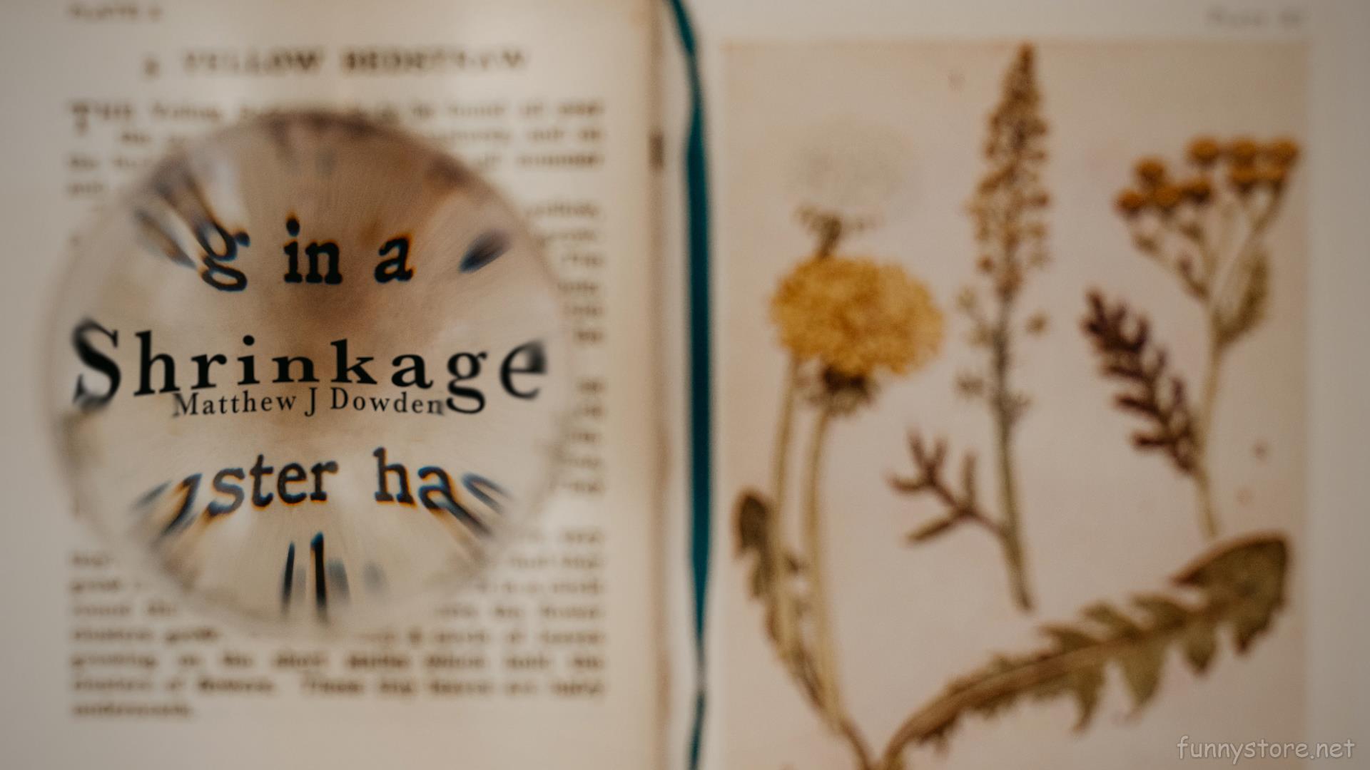 (image for) Matthew Dowden - Shrinkage