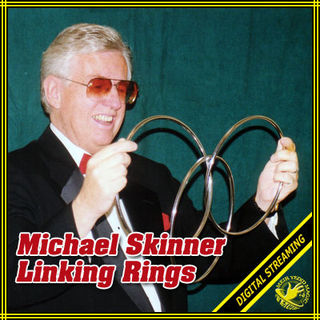 (image for) Michael Skinner - Linking Rings