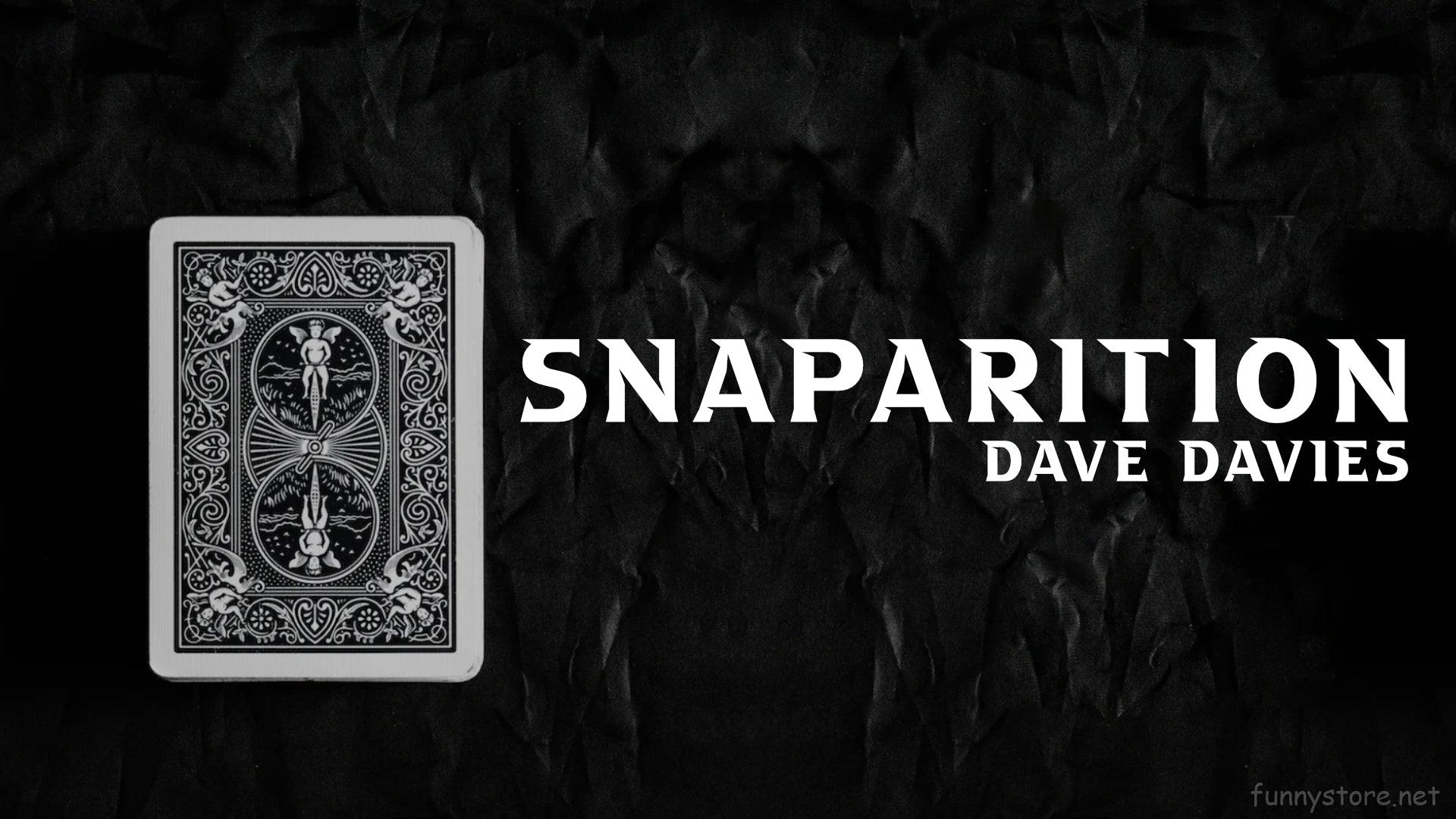 (image for) Dave Davies - Snaparition