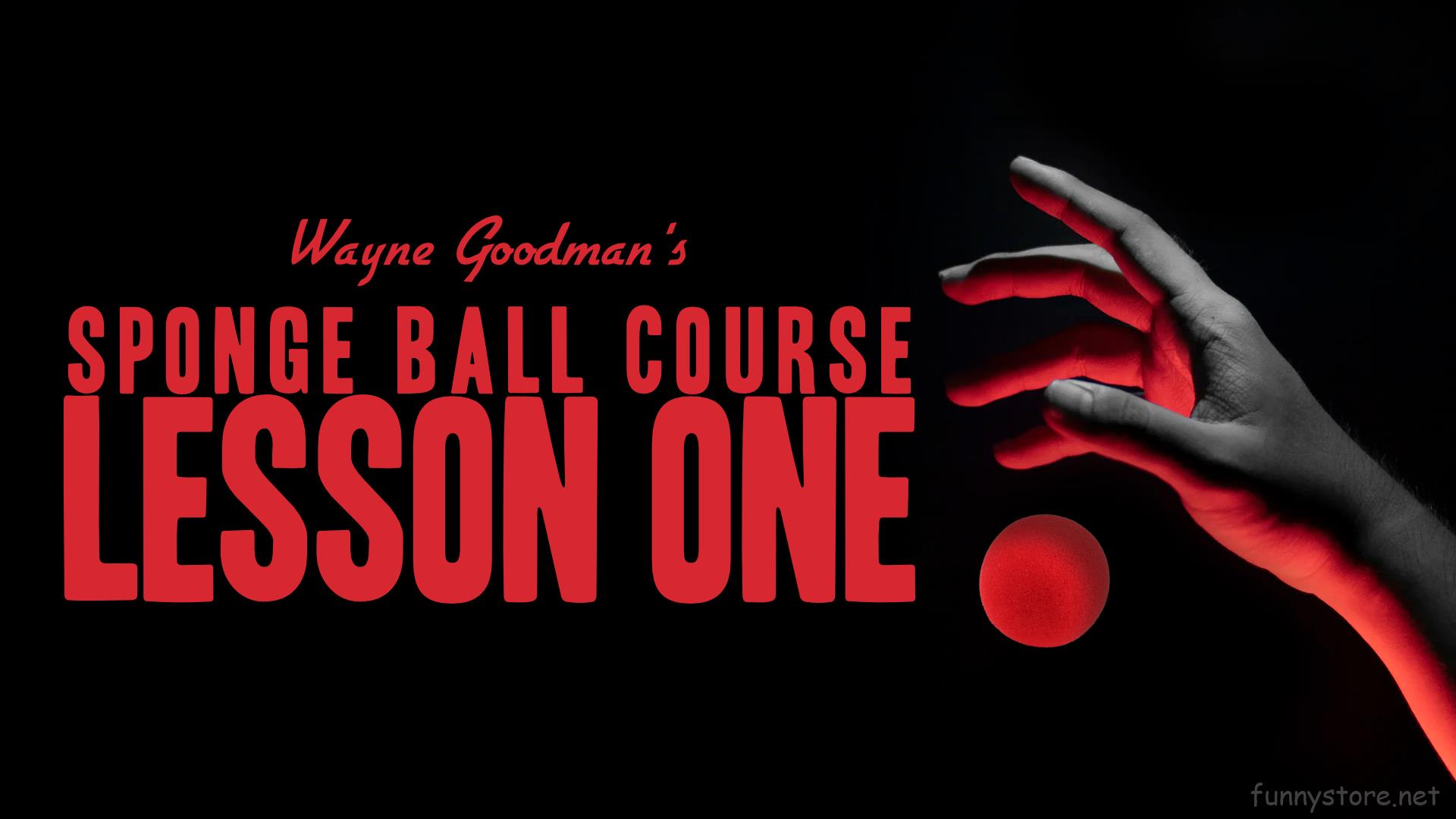 (image for) Wayne Goodman - Sponge Ball Course Lesson 1