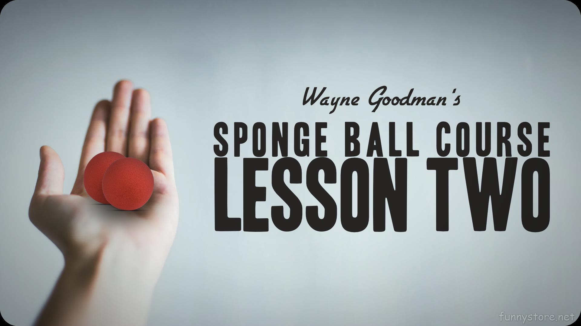 (image for) Wayne Goodman - Sponge Ball Course Lesson 2