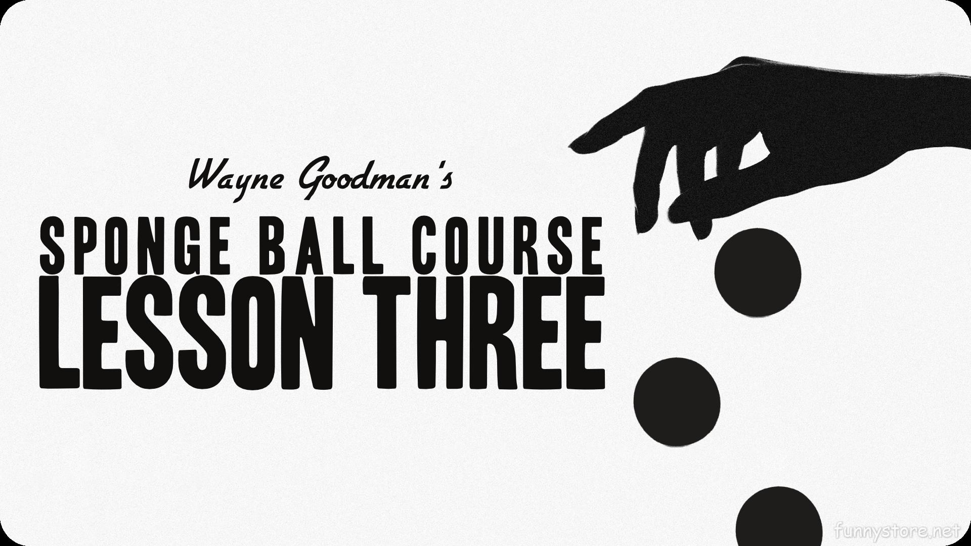 (image for) Wayne Goodman - Sponge Ball Course Lesson 3