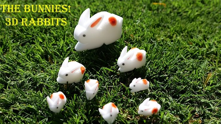 (image for) TRICKSUPPLY - The Bunnies! 3D Rabbits (Sponge Rabbits)