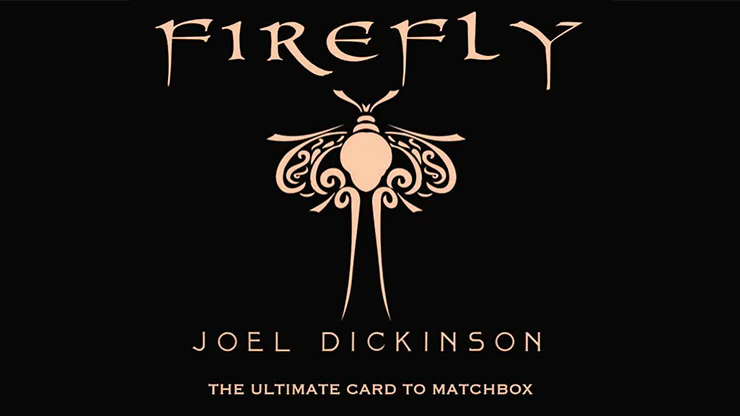 (image for) Joel Dickinson - Firefly