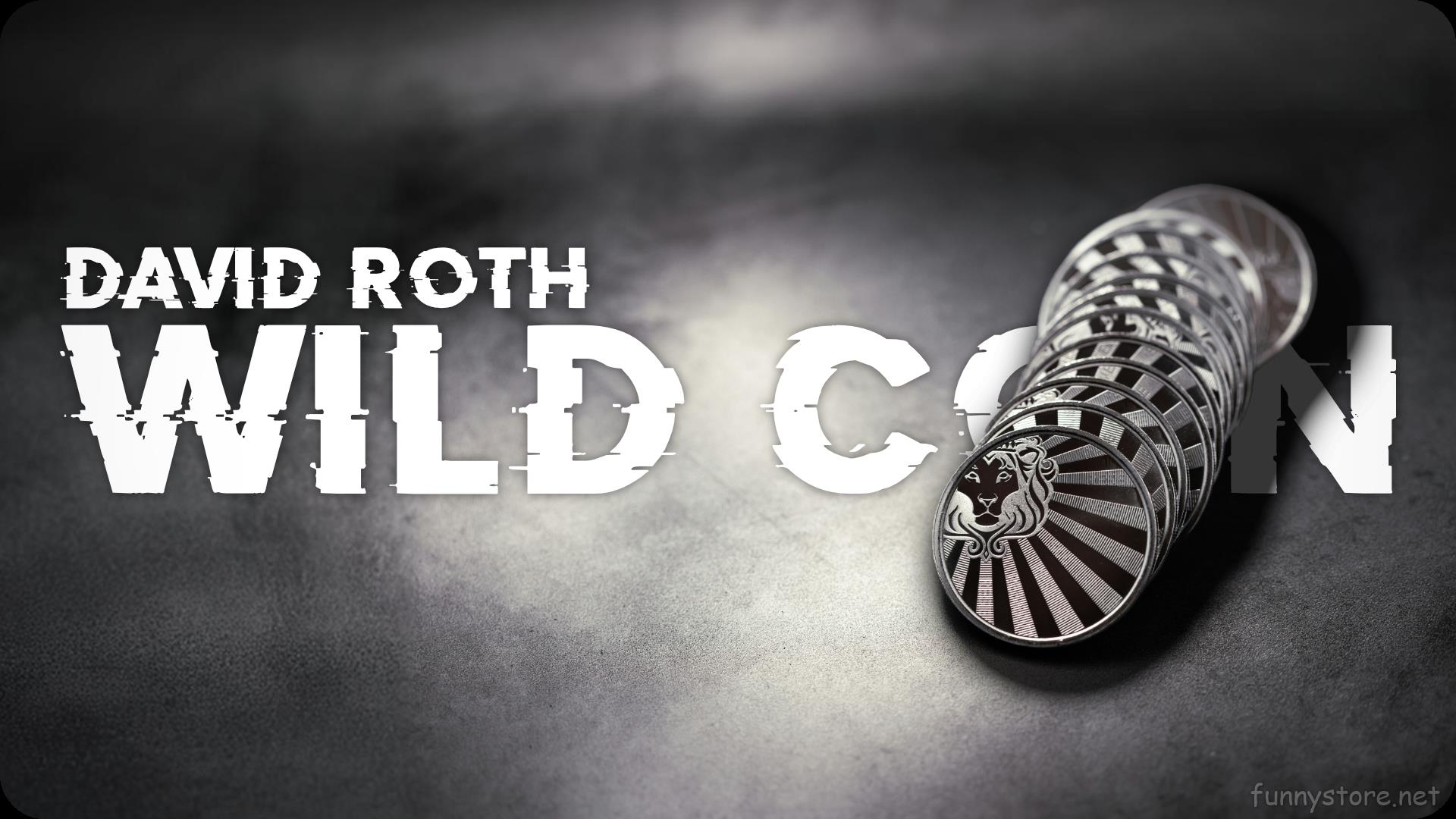 (image for) David Roth - Wild Coin