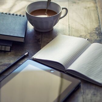 (image for) Tom Stone - Writing Stylebook