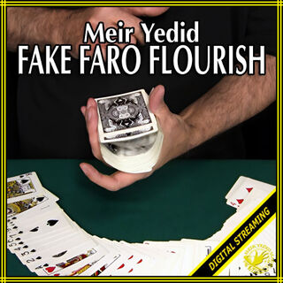 (image for) Meir Yedid - Fake Faro Flourish